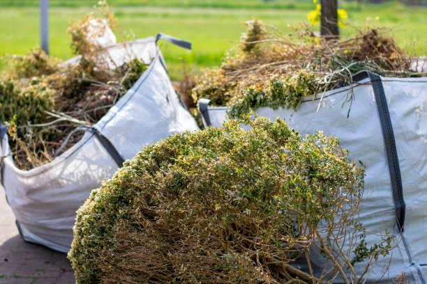 Best Same-Day Junk Removal Services  in Marion, TX